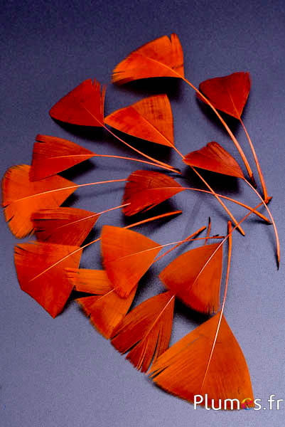 Verenblaadjes - 6-8 x 3-4 cm - azteeks goud